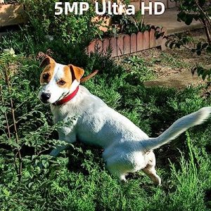 Noorio B211 Security Camera Indoor Outdoor Wireless 2K+ Bluetooth Camera for Home Security, Motion Activated Security Camera Spotlight Color Night Vision 16GB Local Storage Work with Alexa Magntic